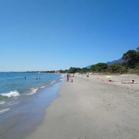 T2 Bord De - Maria Santa-Lucia-di-Moriani