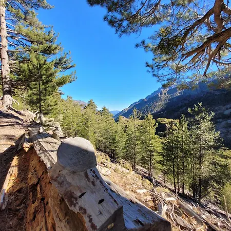 Appartement T2 Bord De - Maria *