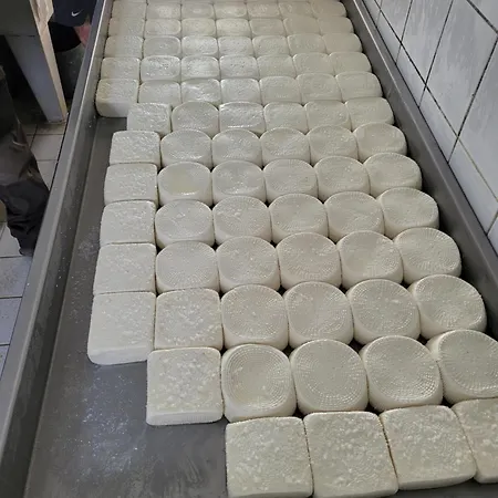 T2 Bord De - Maria Appartement Santa-Lucia-di-Moriani