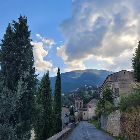 T2 Bord De - Maria Santa-Lucia-di-Moriani