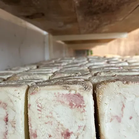 T2 Bord De - Maria Appartement Santa-Lucia-di-Moriani